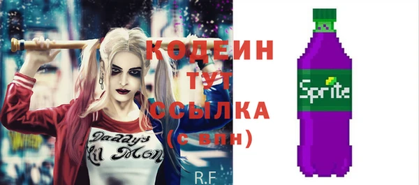 хмурый Пестово