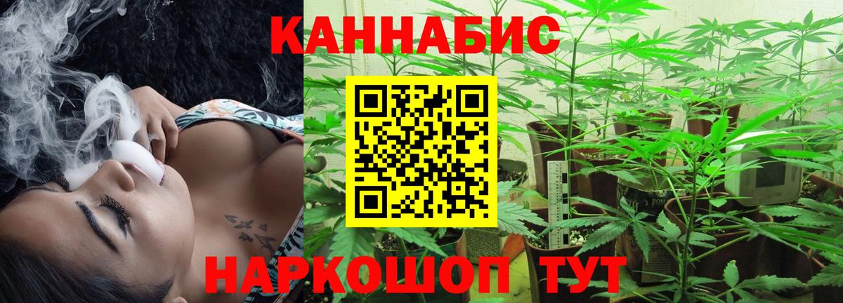 Шишки марихуана семена  Конопля планчик  Бошки Шишки White Widow  Родники 